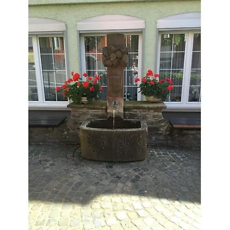Uitzicht Op De Moezel In Semesterbostad *